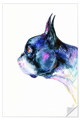 Selvklebende plakat Boston Terrier