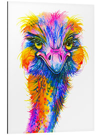 Tableau en aluminium Rainbow Ostrich