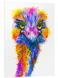 Foam board print Rainbow Ostrich