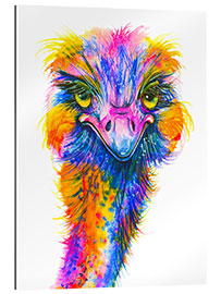 Gallery print Rainbow Ostrich