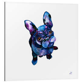 Aluminium print Batdog