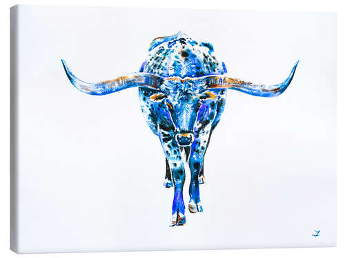 Canvas print Texas Longhorn