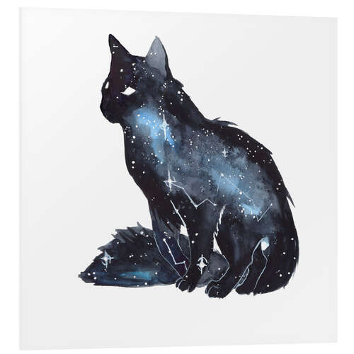 Foam board print Galaxy Cat