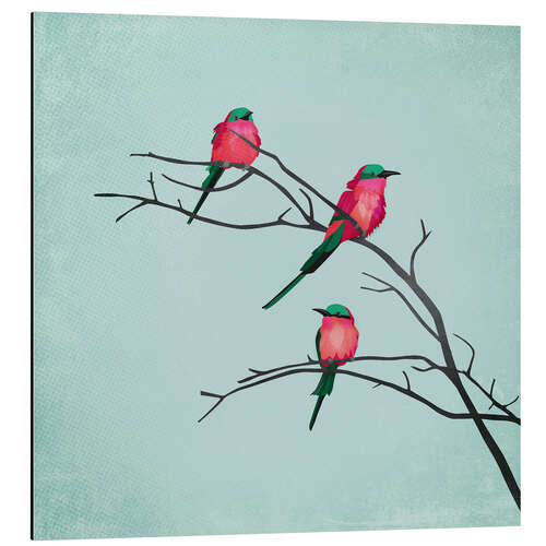 Aluminium print Cardinal Birds