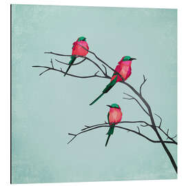 Tableau en aluminium Cardinal Birds