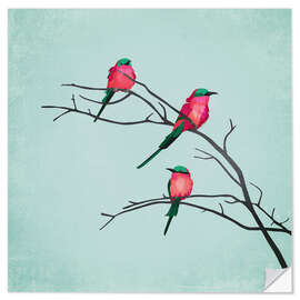 Wall sticker Cardinal Birds