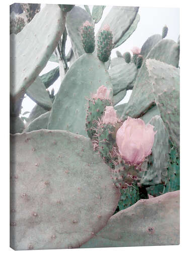 Lienzo pink cactus flower