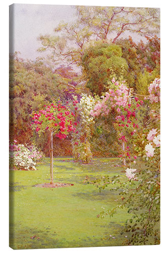 Canvas print A Rose Garden