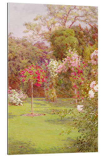 Gallery print A Rose Garden