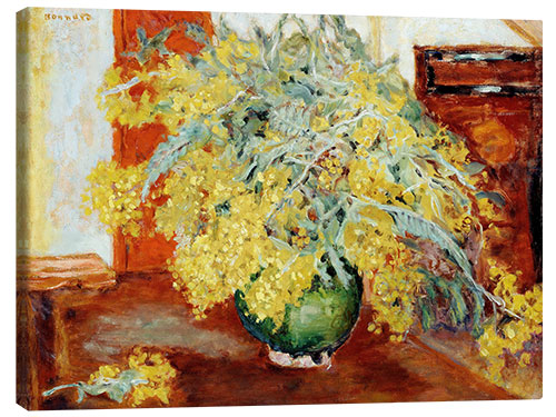 Canvas print Mimosas