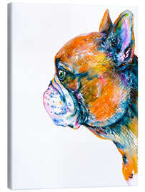 Canvas print Red Fawn Frenchie