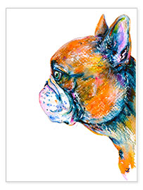 Poster Rotes Kitz Französische Bulldogge