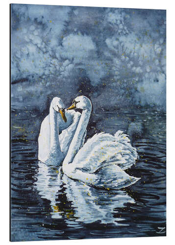 Aluminium print Swan Couple