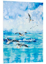 Foam board print Black headed Seagulls At Seven Seas Beach