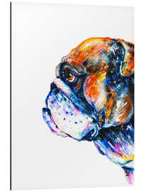 Aluminium print Bulldog