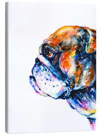Canvas print Bulldog - Zaira Dzhaubaeva