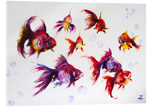 Acrylglasbild Kaliko Ryukin Goldfisch