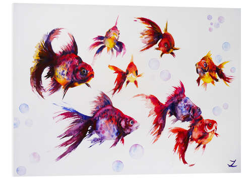 Foam board print Calico Ryukin Goldfish