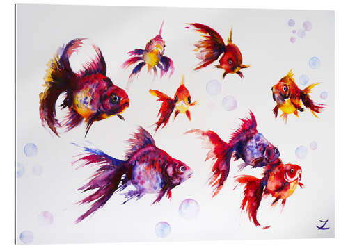 Gallery print Calico Ryukin Goldfish