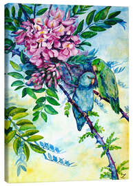 Canvas print Pacific Parrotlets