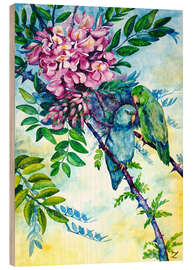 Wood print Pacific Parrotlets