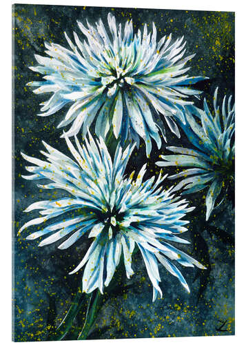 Acrylglasbild Chrysanthemen 