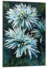 Aluminium print Chrysanthemums