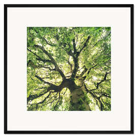 Gerahmter Kunstdruck Under Your Skin