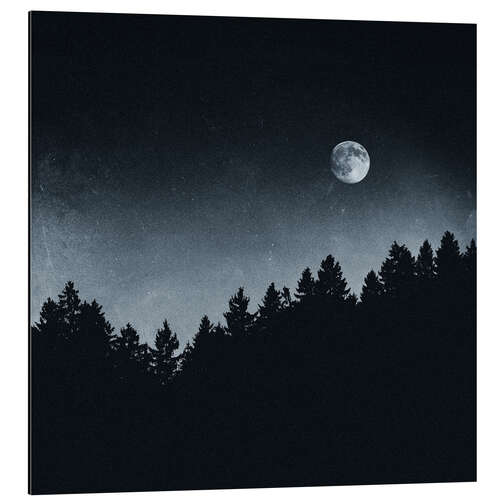 Aluminium print Under Moonlight