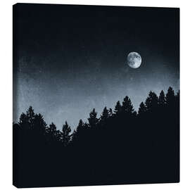 Canvas print Under Moonlight