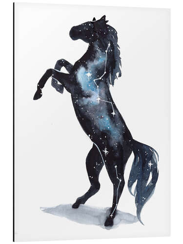 Aluminium print Galaxy Horse