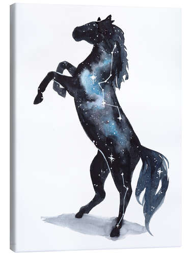 Canvas print Galaxy Horse