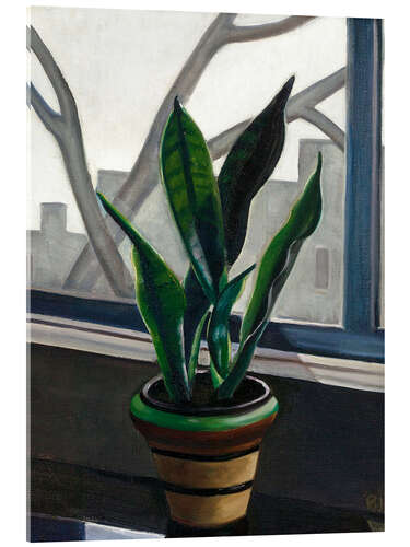 Acrylic print Plant on a windowsill