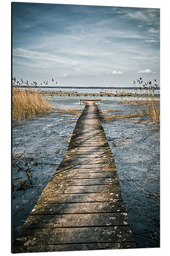 Obraz na aluminium Silence at the lake