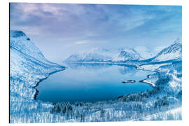 Alubild Winterlicher Fjord in Nord-Norwegen (Insel Senja)