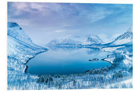 Quadro em PVC Norwegian Winter Wonderland (Island of Senja)