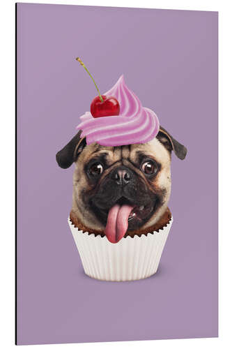 Quadro em alumínio PUGCAKE