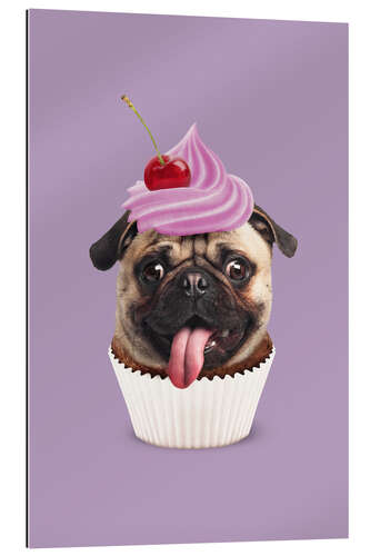 Quadro em plexi-alumínio PUGCAKE