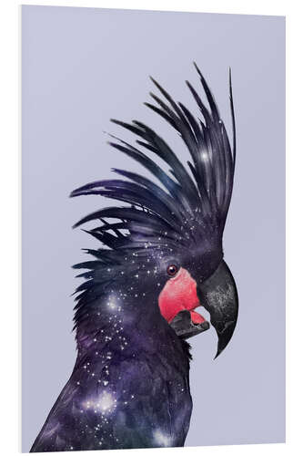 Obraz na PCV GALAXY BIRD