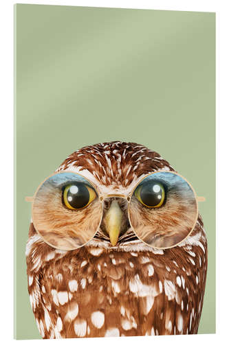 Acrylglas print HIPSTER OWL