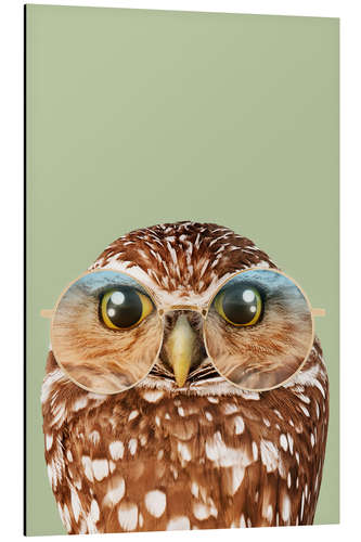 Alumiinitaulu HIPSTER OWL