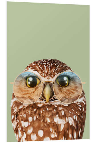 Quadro em PVC HIPSTER OWL