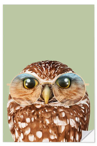 Autocolante decorativo HIPSTER OWL