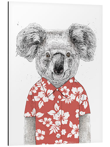 Stampa su alluminio Koala con camicia hawaiana