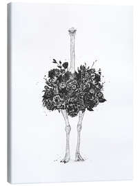 Canvas-taulu Ostrich of flowers