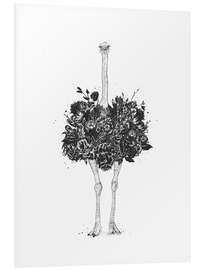 Foam board print Flower Ostrich