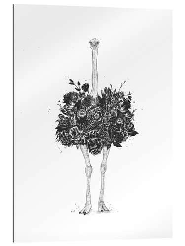 Galleritryk Ostrich of flowers