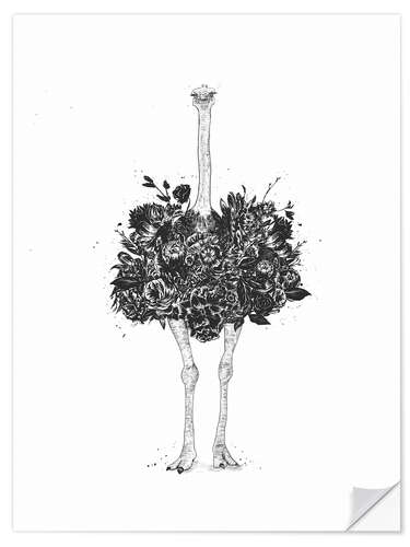 Wall sticker Flower Ostrich