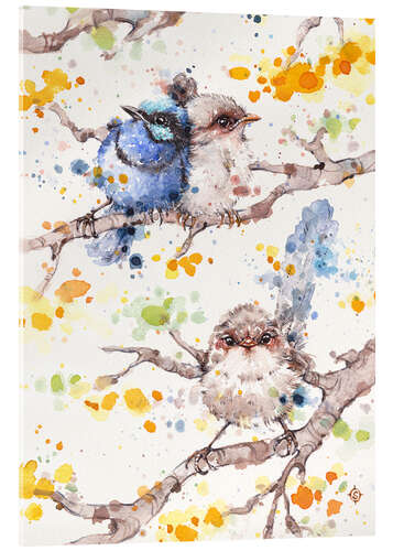 Acrylglas print Family Life (fairy Wren)