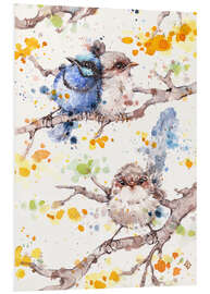 Foam board print Family Life (fairy Wren)